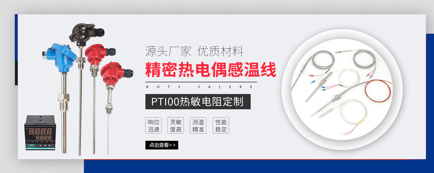 上海飛龍儀表電器